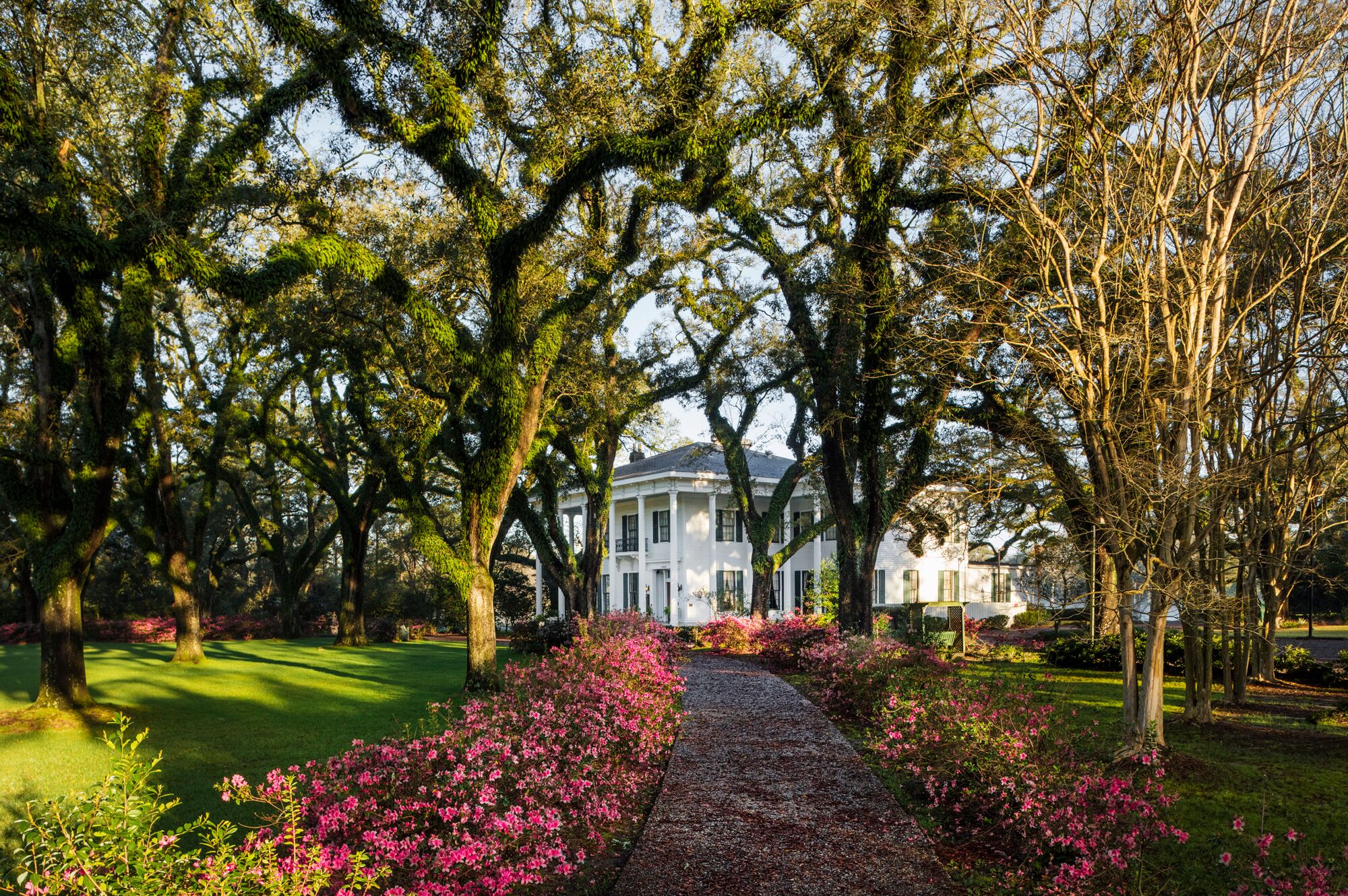 Villa umgeben von wunderschönen Bäumen in Alabama