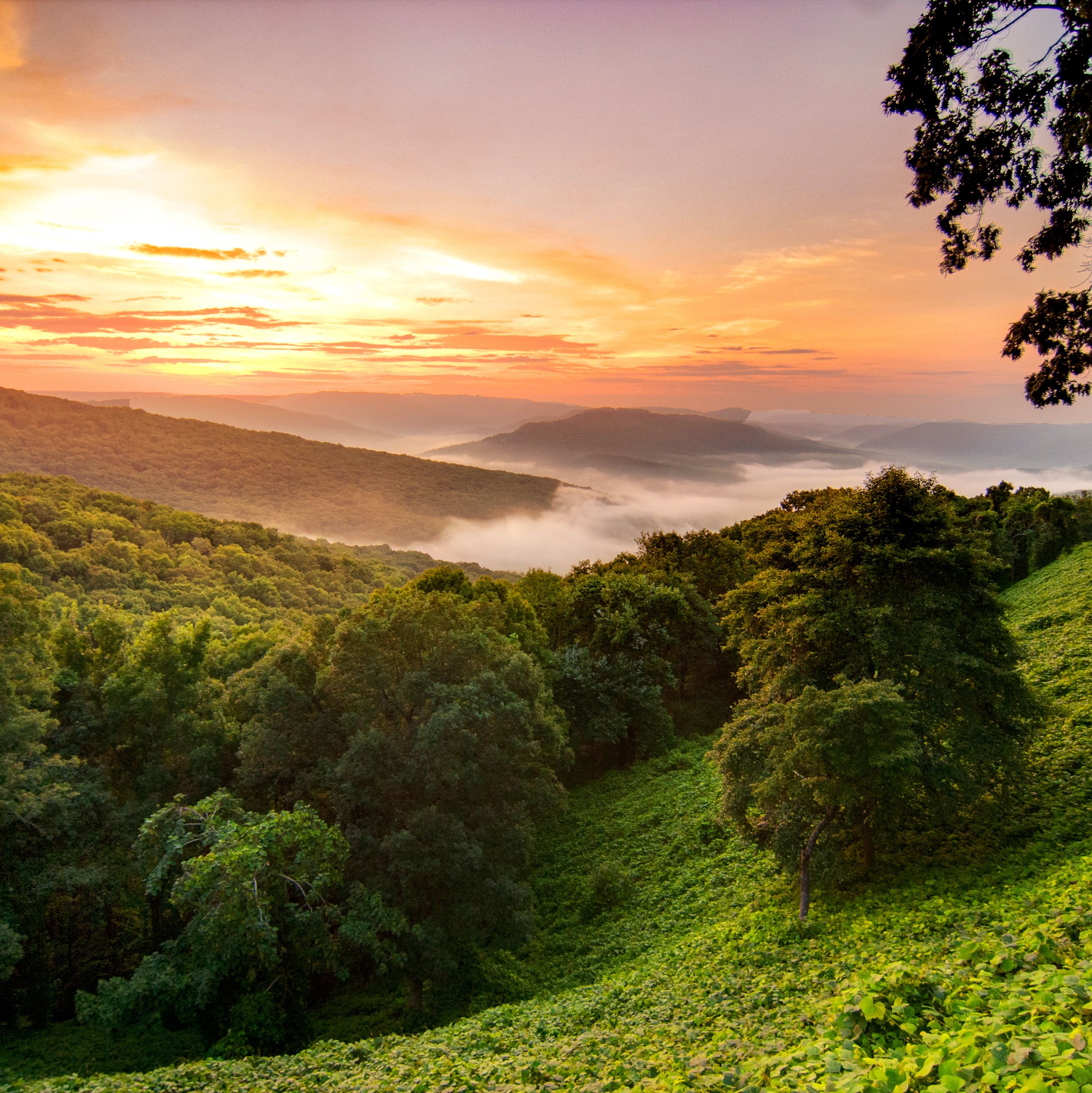 Den Sonnenaufgang in der Hochlandregion Ozark Mountains in Arkansas genieÃŸen