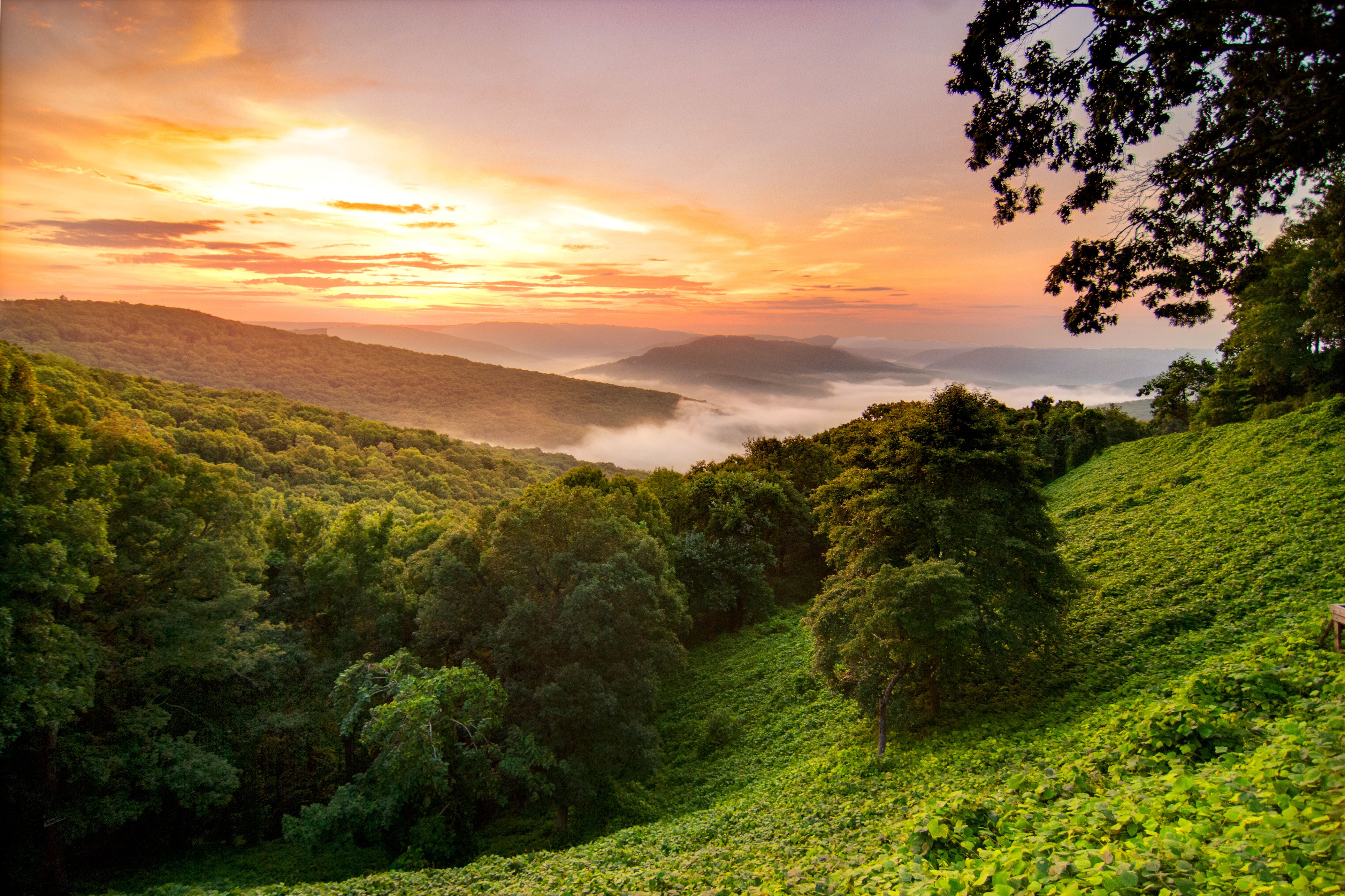 Den Sonnenaufgang in der Hochlandregion Ozark Mountains in Arkansas genieÃŸen