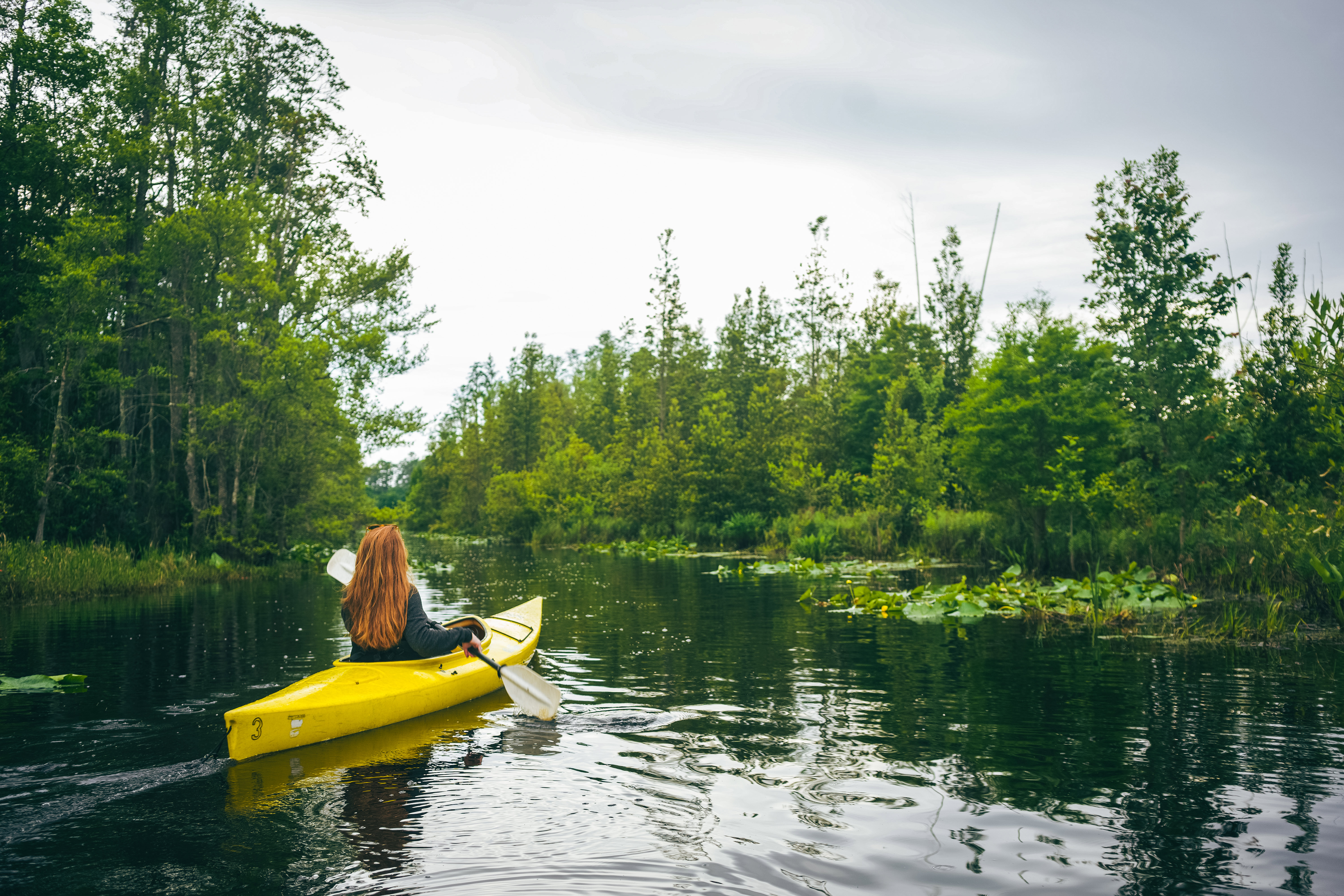 Mit dem Kajak unterwegs in den Okefenokee-Sümpfen