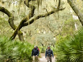 Cumberland Island in Georgia