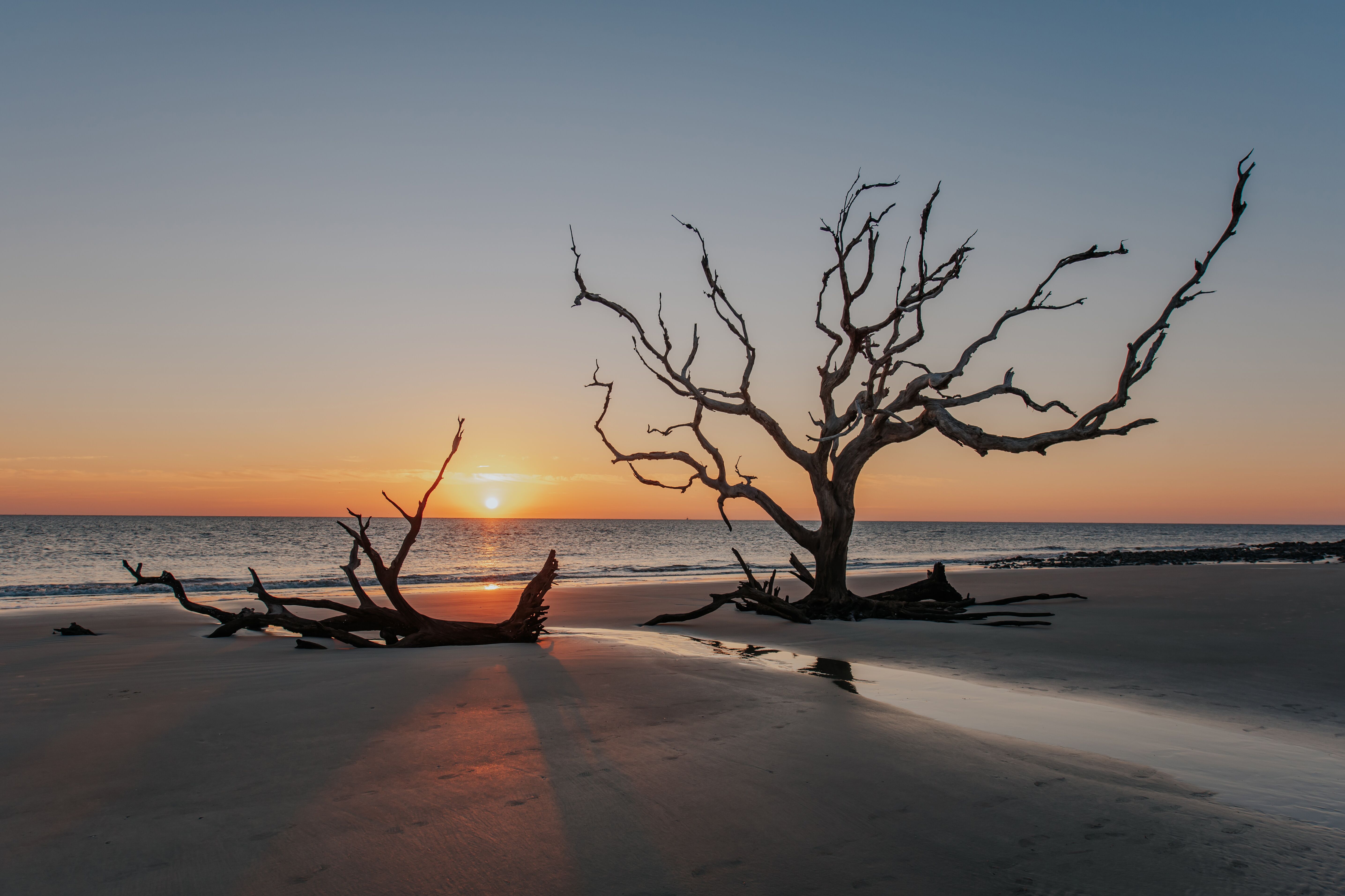 Sonnenuntergang am Driftwood Beach