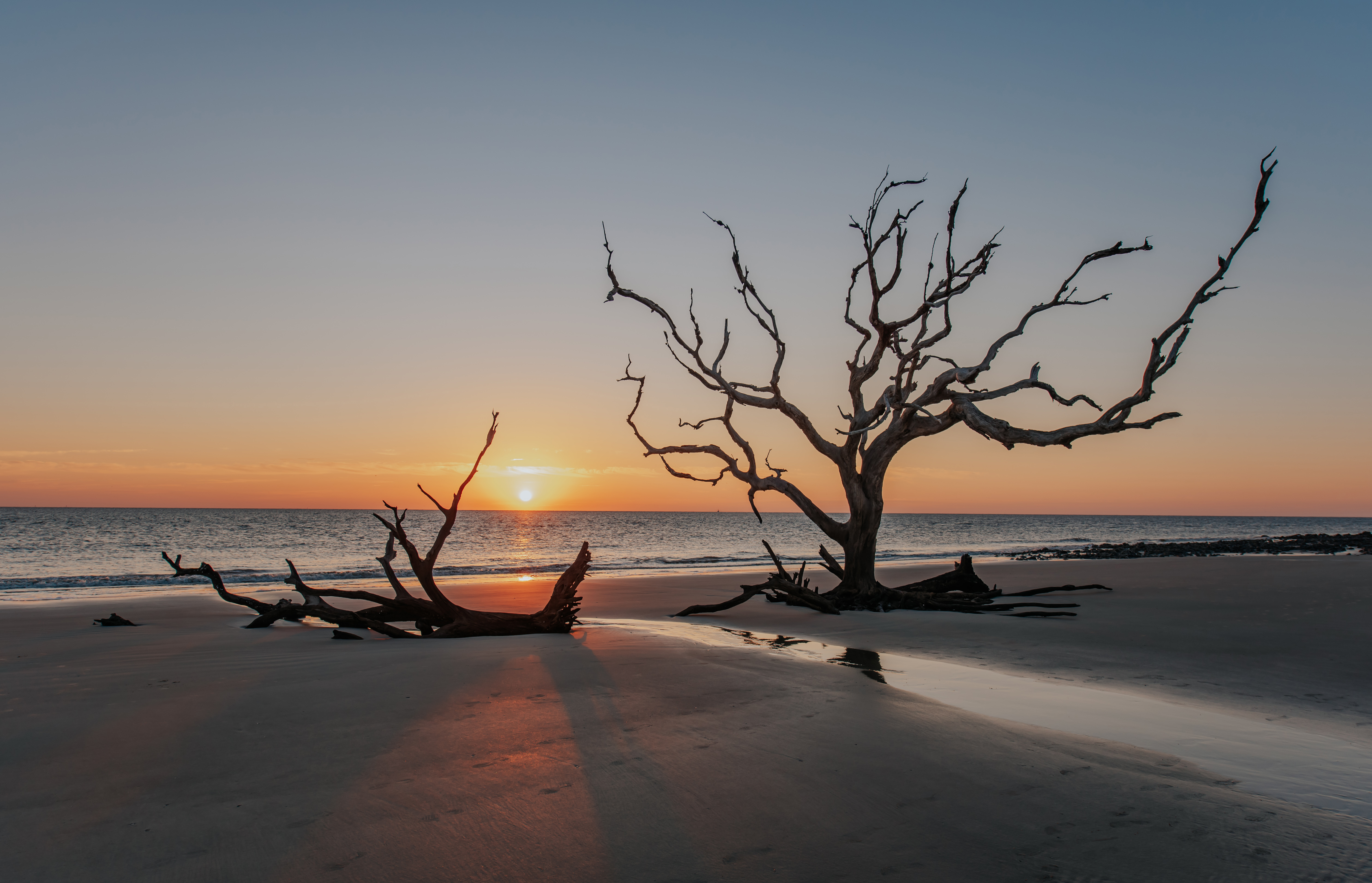 Sonnenuntergang am Driftwood Beach