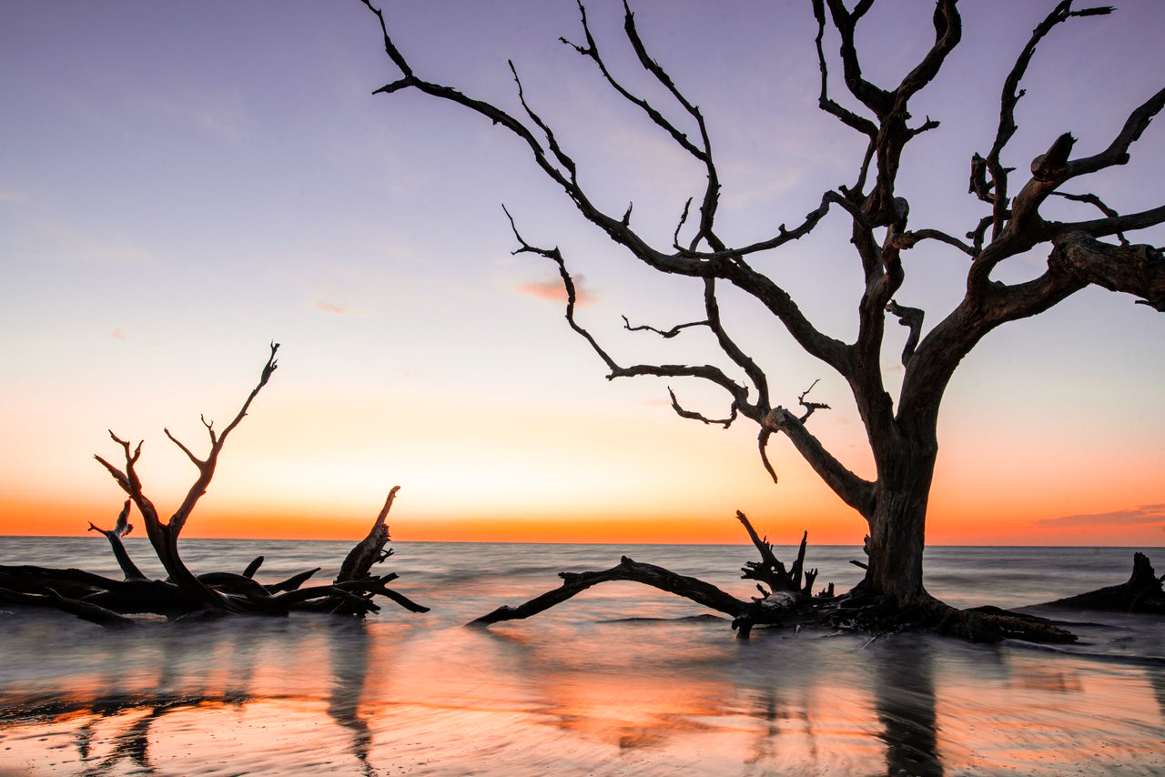 Schattenspiele bei Sonnenuntergang am Driftwood Beach