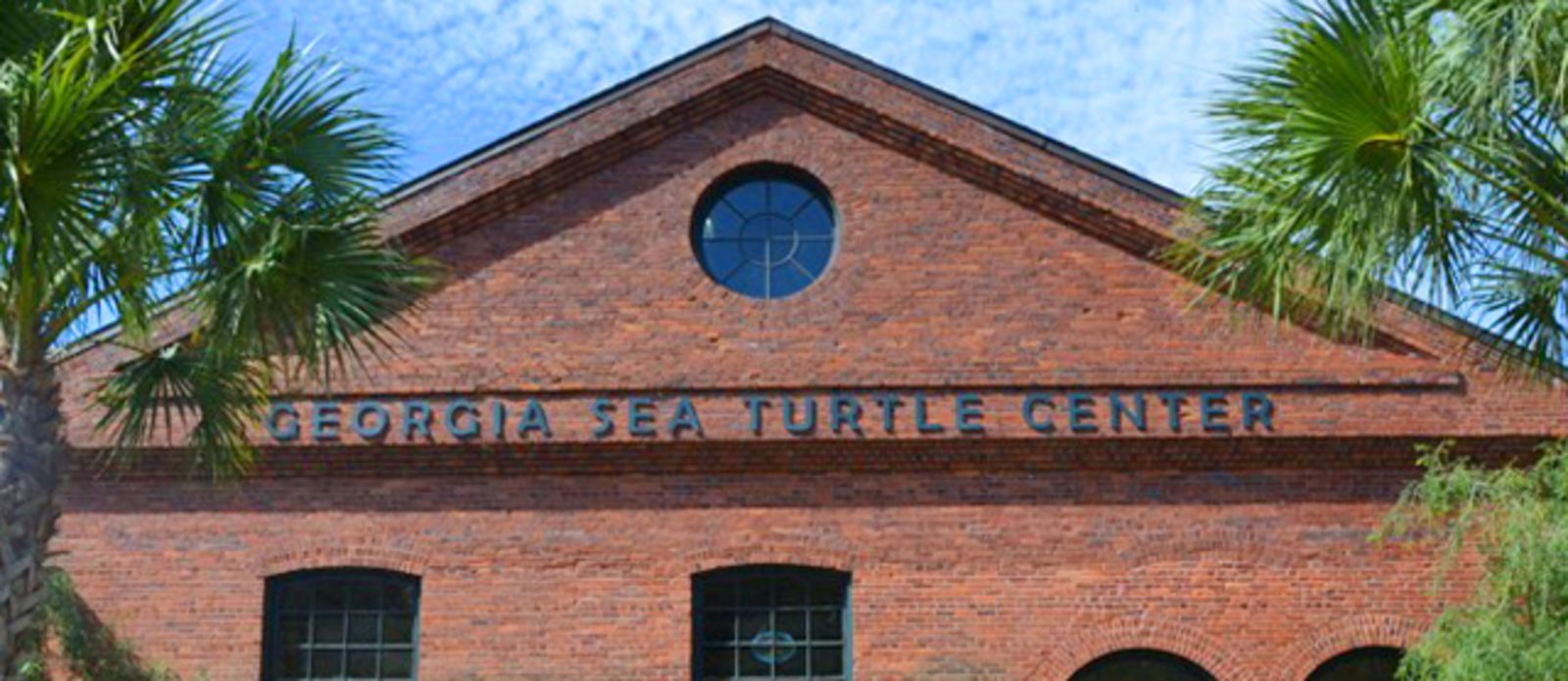 Sea Turtle Hospital auf Jekyll Island, Georgia