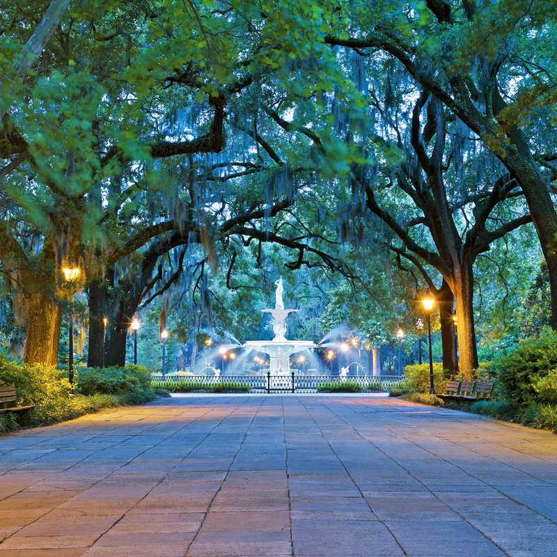 Savannah Alle tips reviews en reizen vind je op Amerikanl
