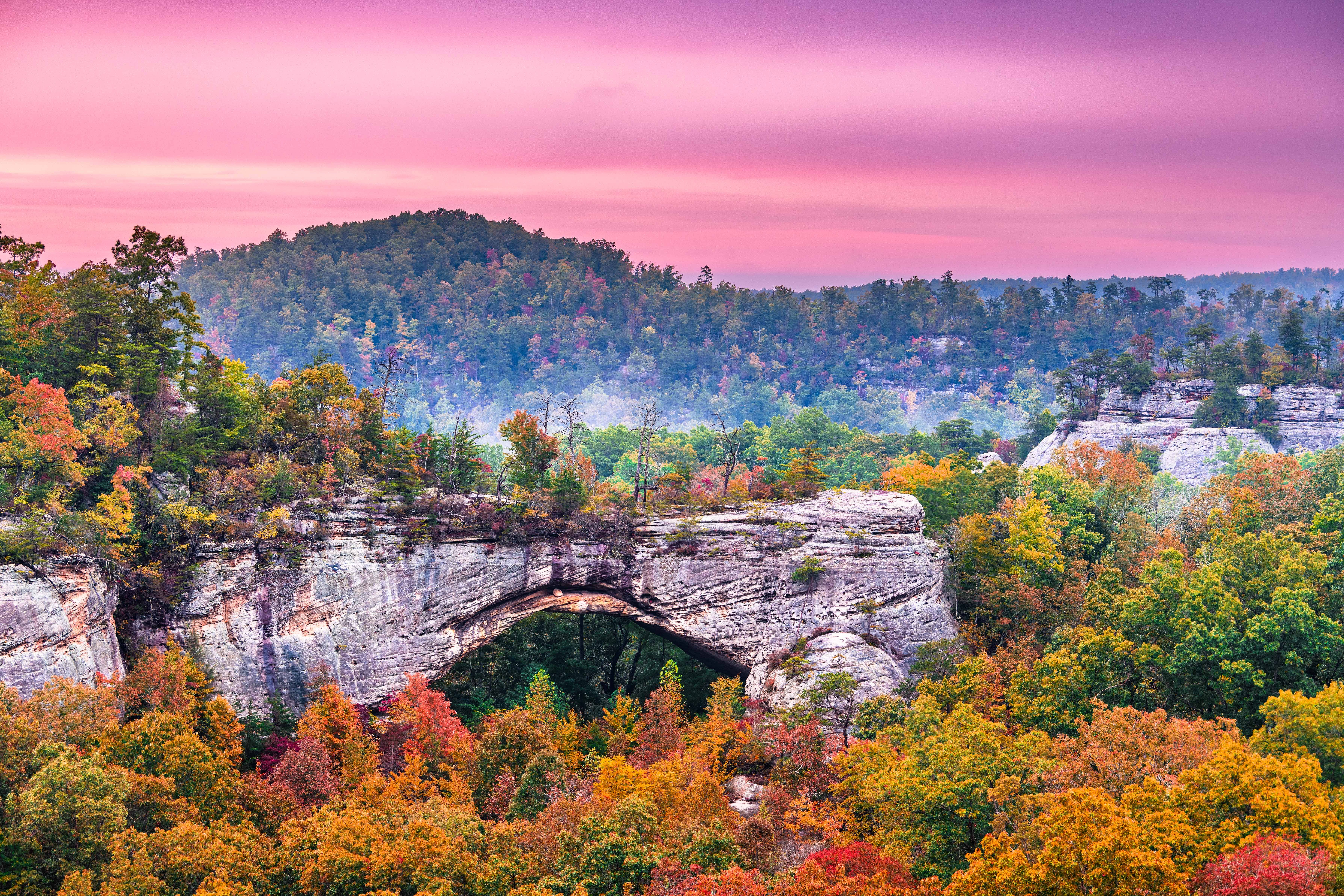 Natur im Daniel Boone National Forest in Kenucky in bunte Farben getaucht