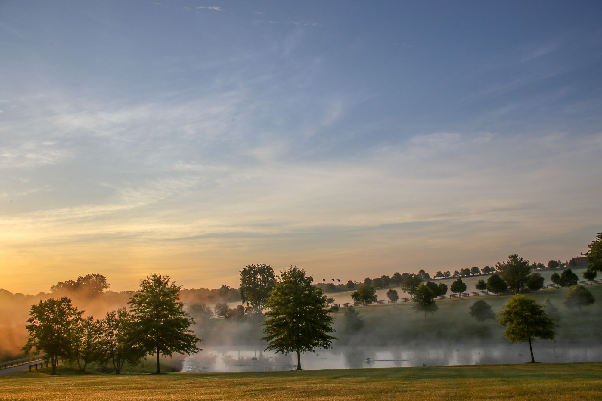 Sonnenaufgang Ã¼ber dem Feldern der Jonabell Farm in Lexington