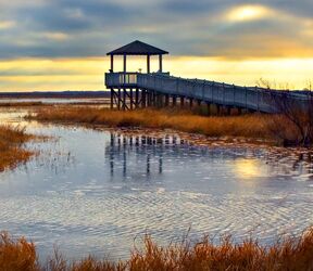 Die Umgebung von Lake Charles in Louisiana hat viel zu bieten