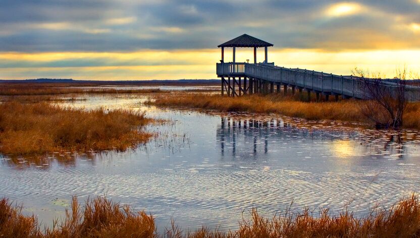 Die Umgebung von Lake Charles in Louisiana hat viel zu bieten Die Umgebung von Lake Charles in Louisiana hat viel zu bieten