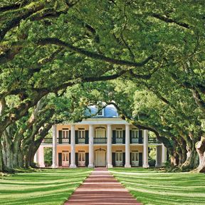 Oak Alley Plantation