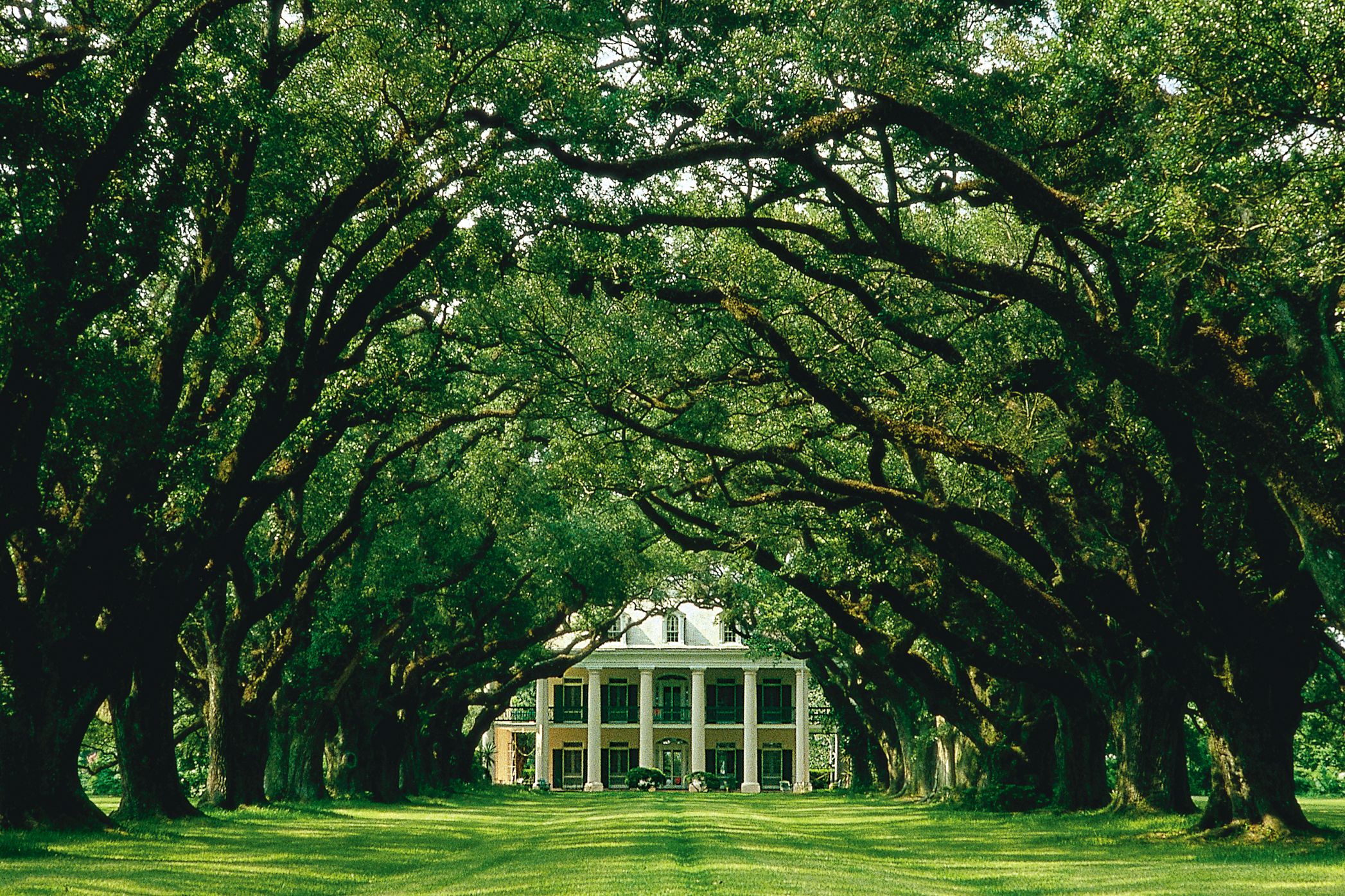 Eintritt zur Oak Alley Plantation CANUSA