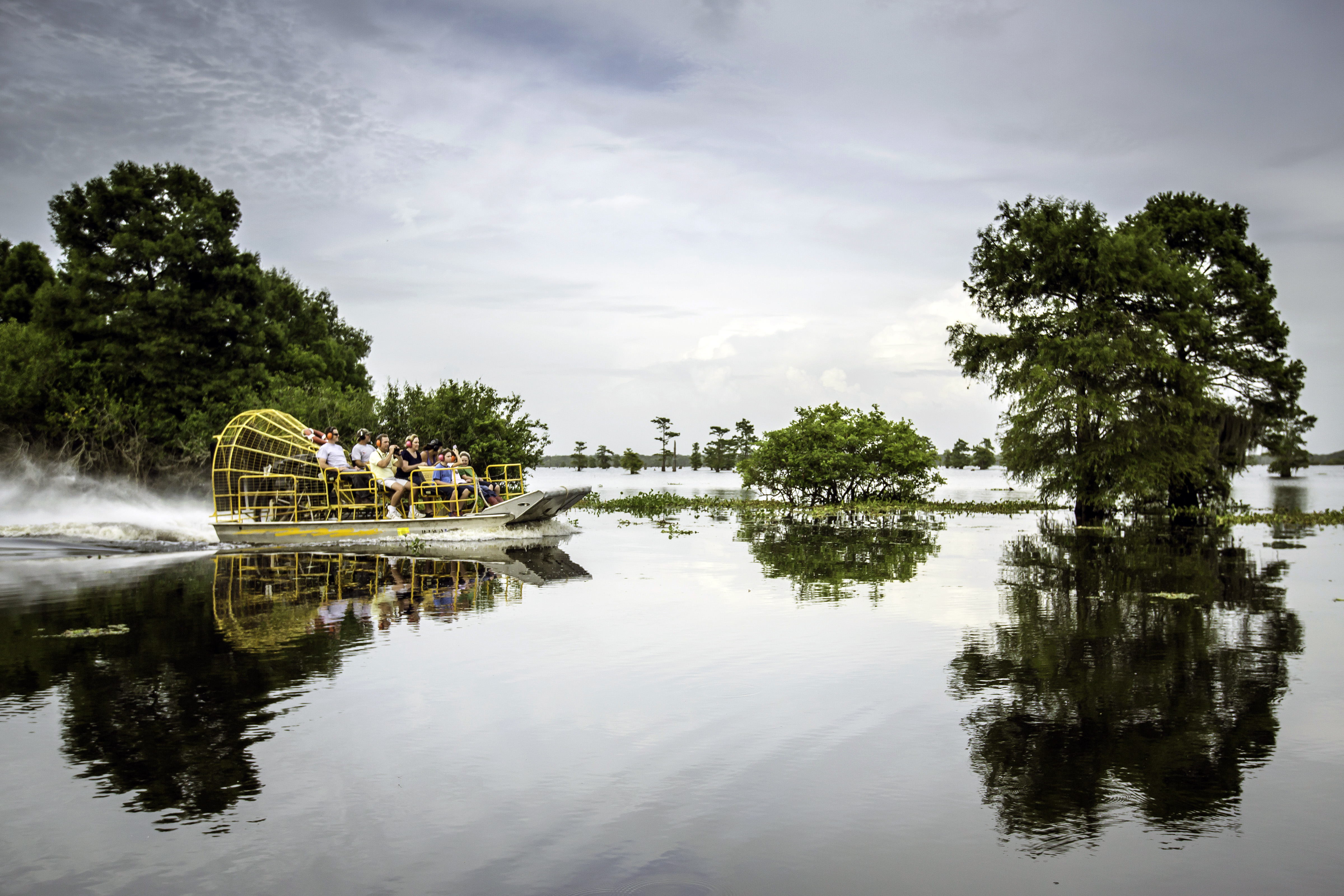 Airboat Swamp Tour, Louisiana