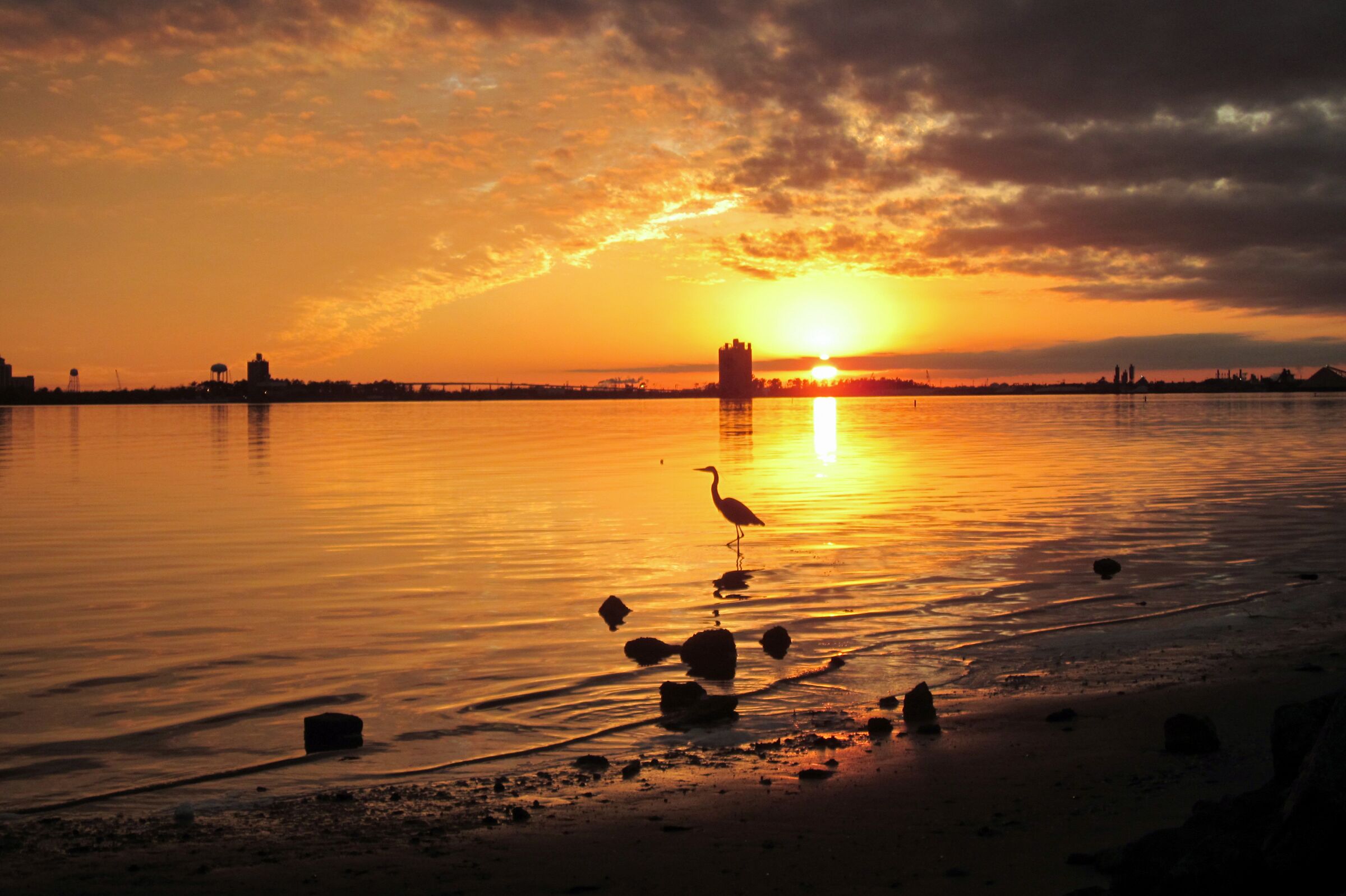 Ein Reiher im Sonnenuntergang in Lake Charles in Louisiana