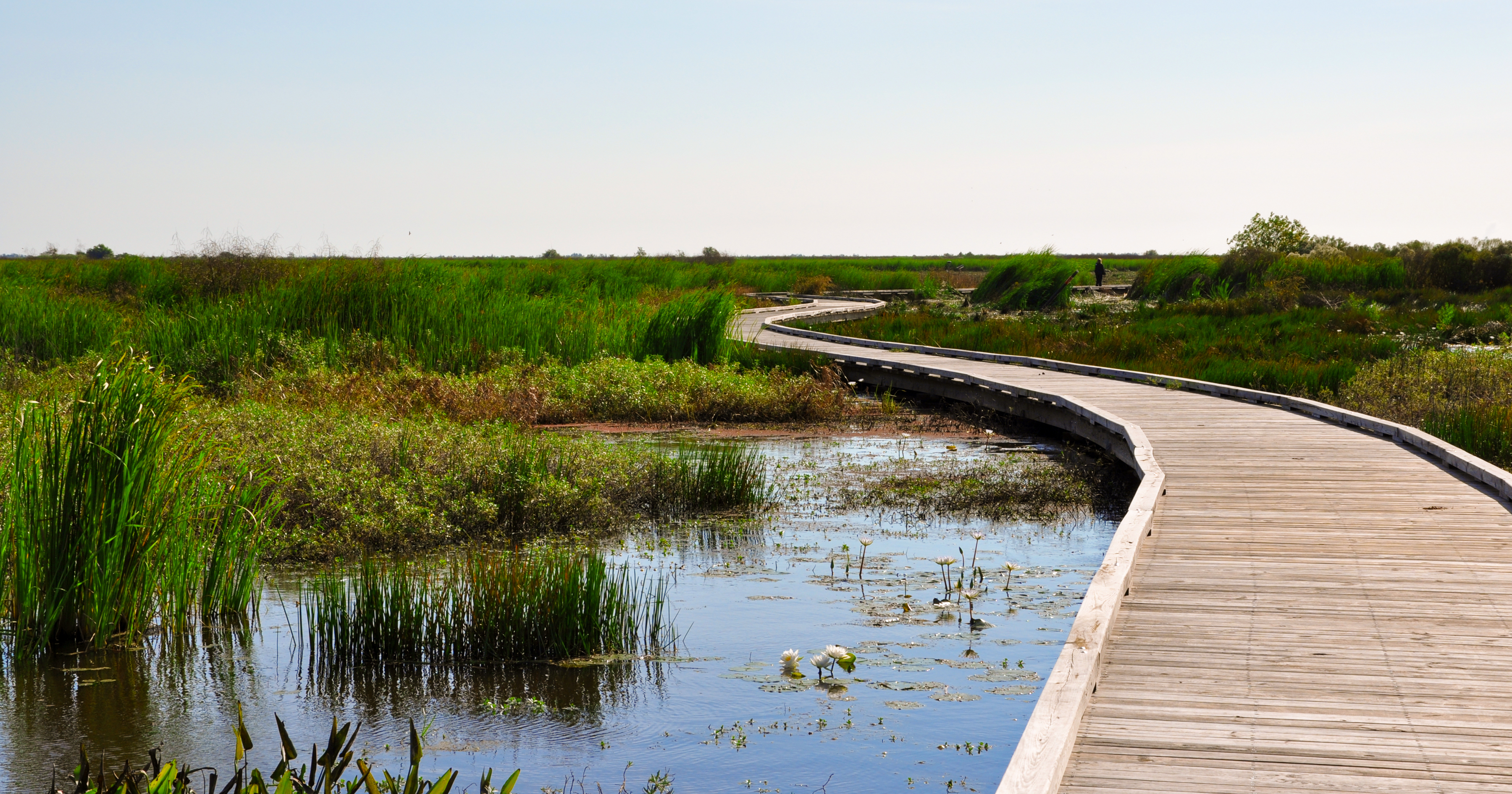 Der Pintail Wildlife Drive windet sich durch die Marschlandschaft bei Lake Charles in Louisiana