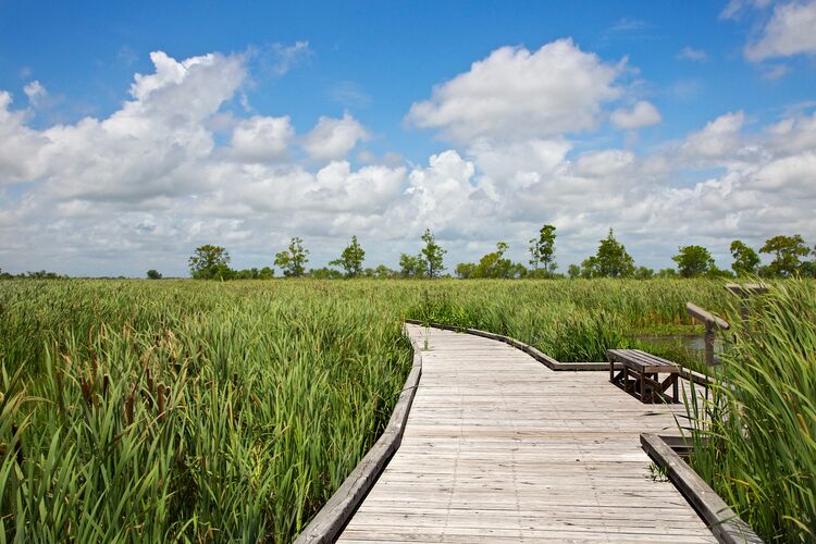 Wanderweg durch die Natur in Lake Charles, Louisiana