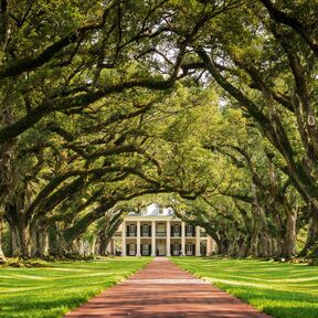 Oak Alley Plantage, Louisiana