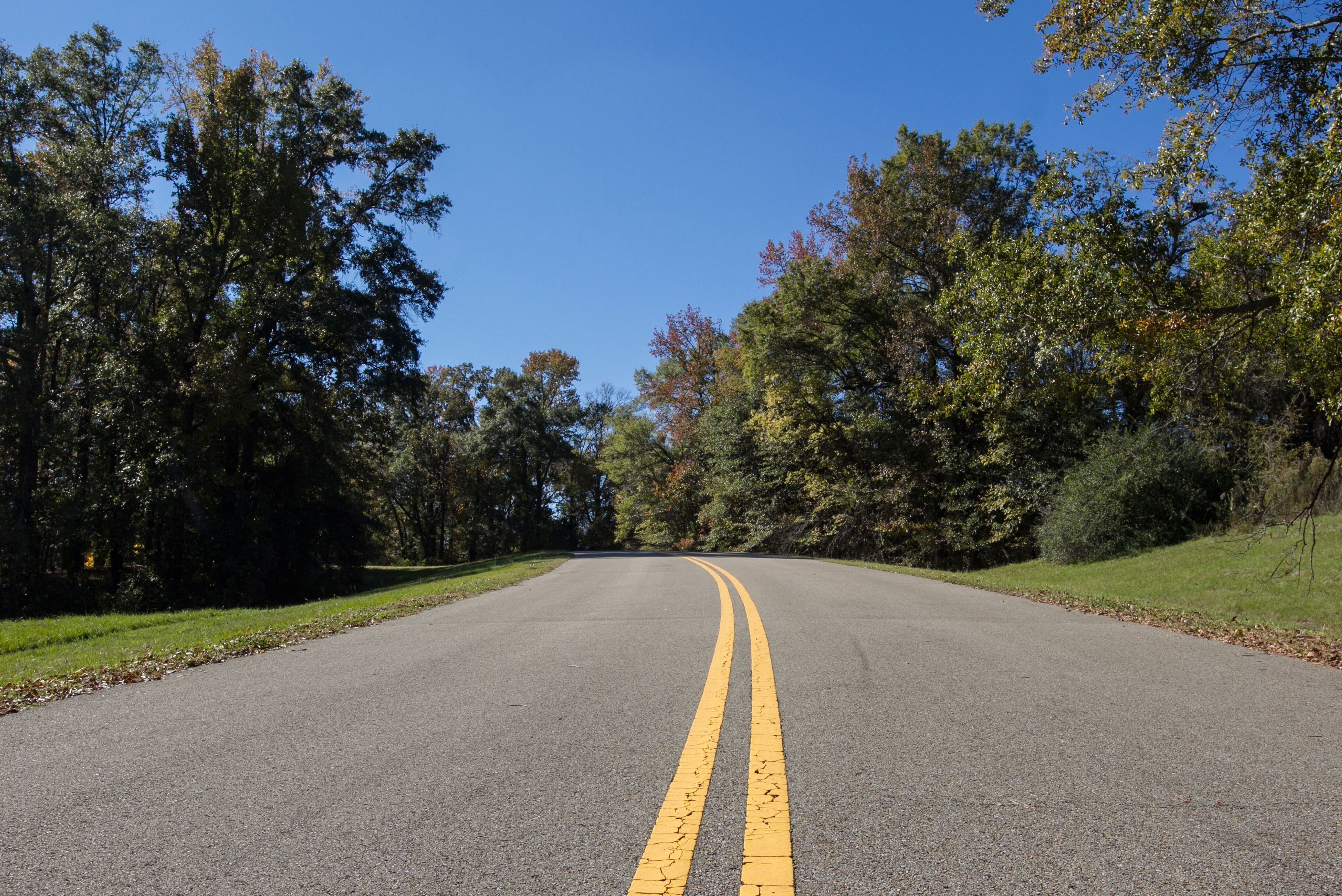 Straße im Natchez Trace Parkway in Tupelo Mississippi