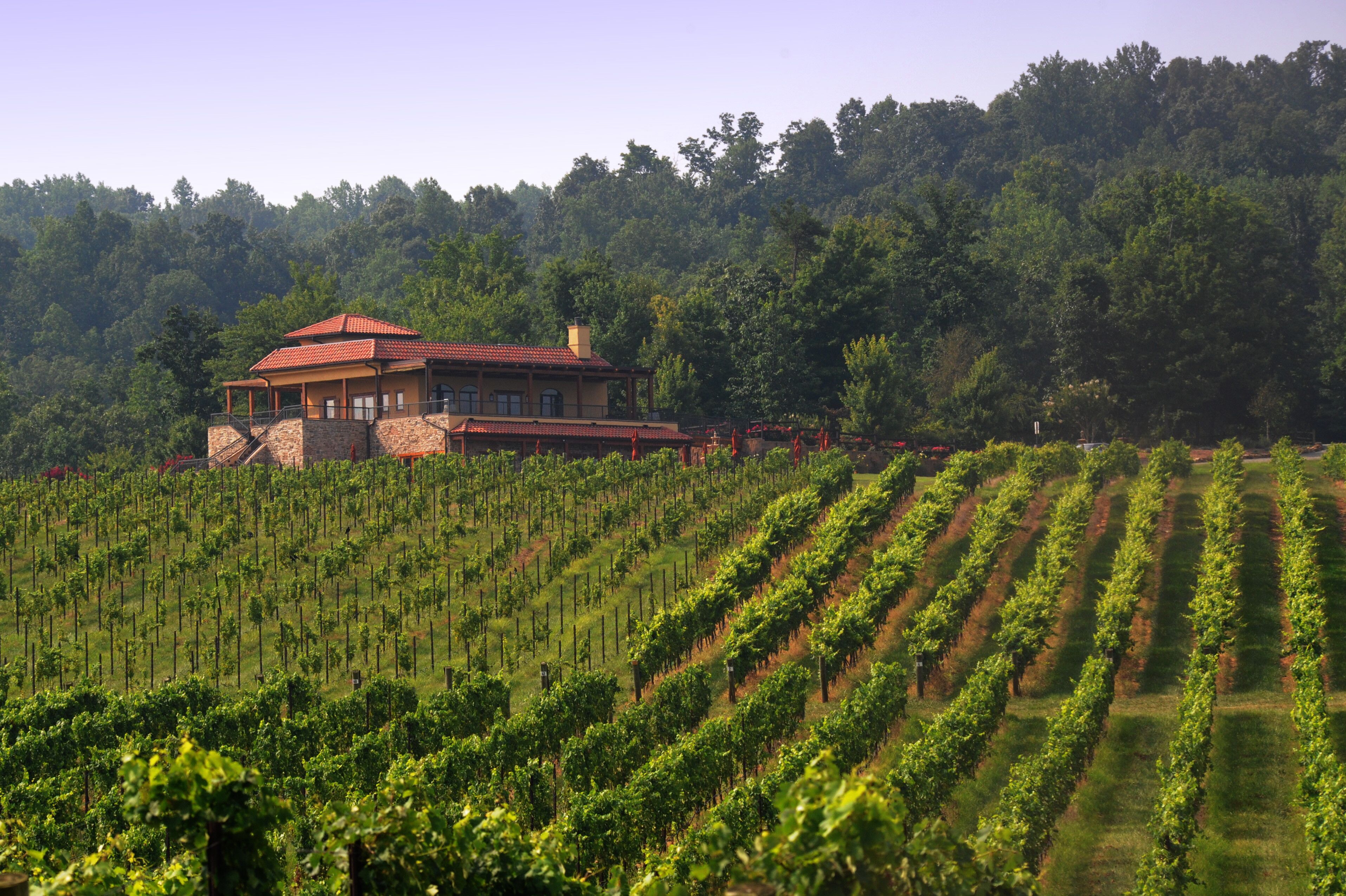 Das Raffaldini-Weingut