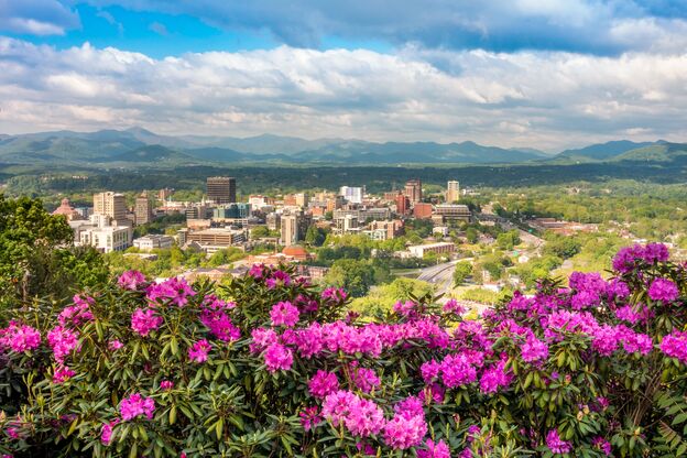 Blick auf die Skyline von Asheville mit rosa Rhododendron Pflanzen im Frühling