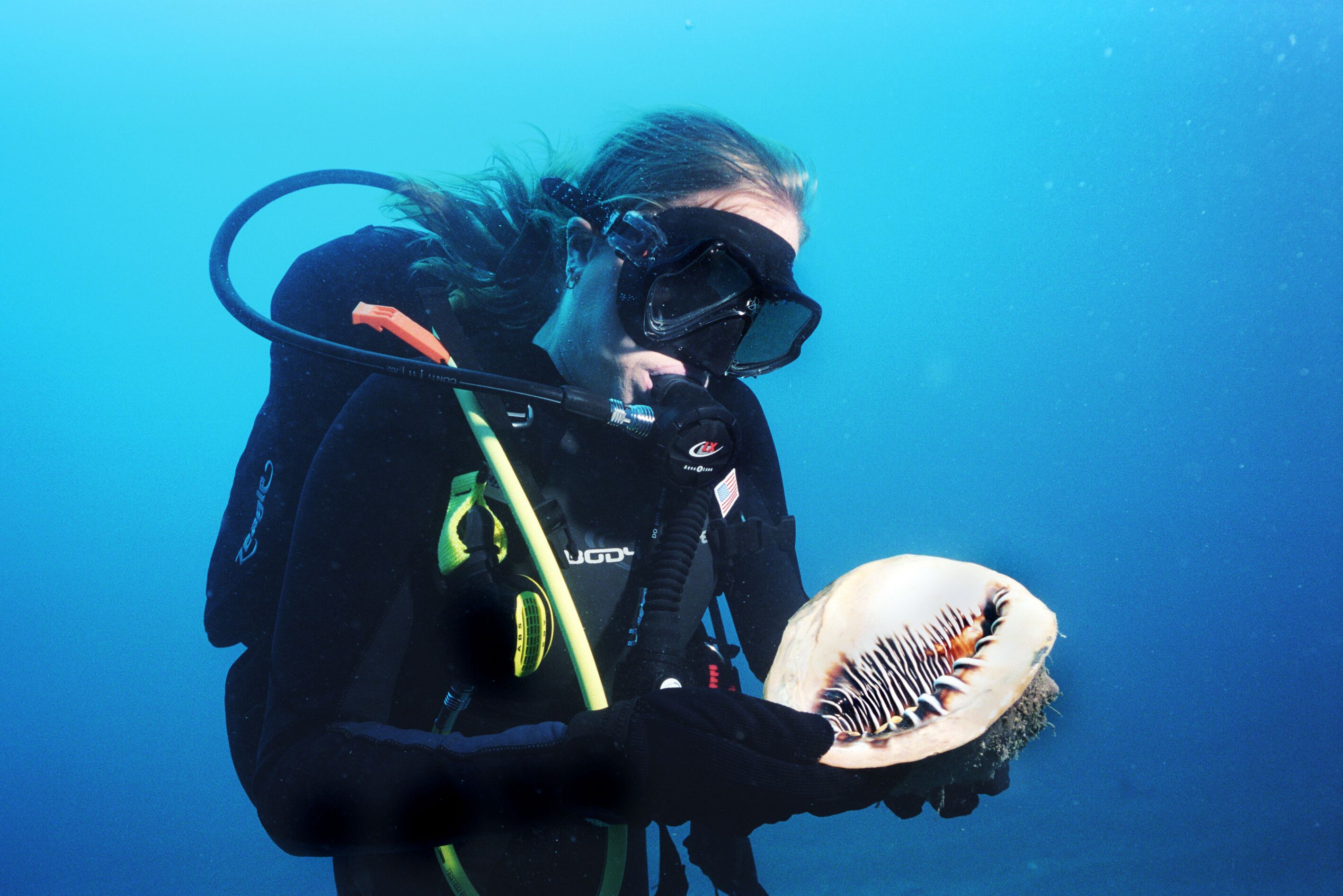 Scuba Diving an der Kueste North Carolinas