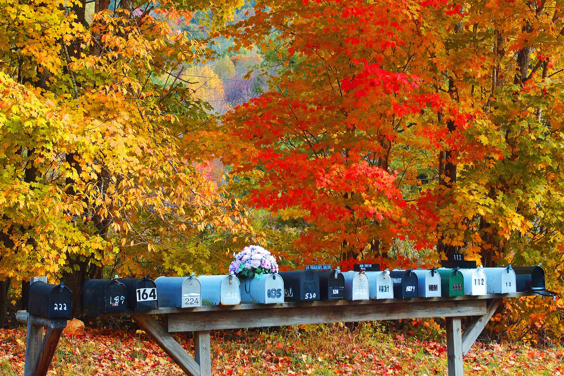 Indian Summer in den Bergen North Carolinas