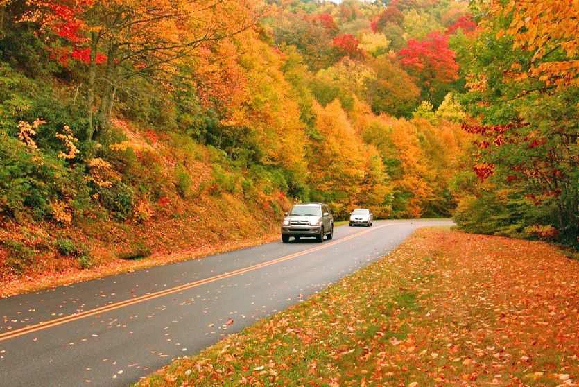 Highway 441 in den Great Smoky Mountains