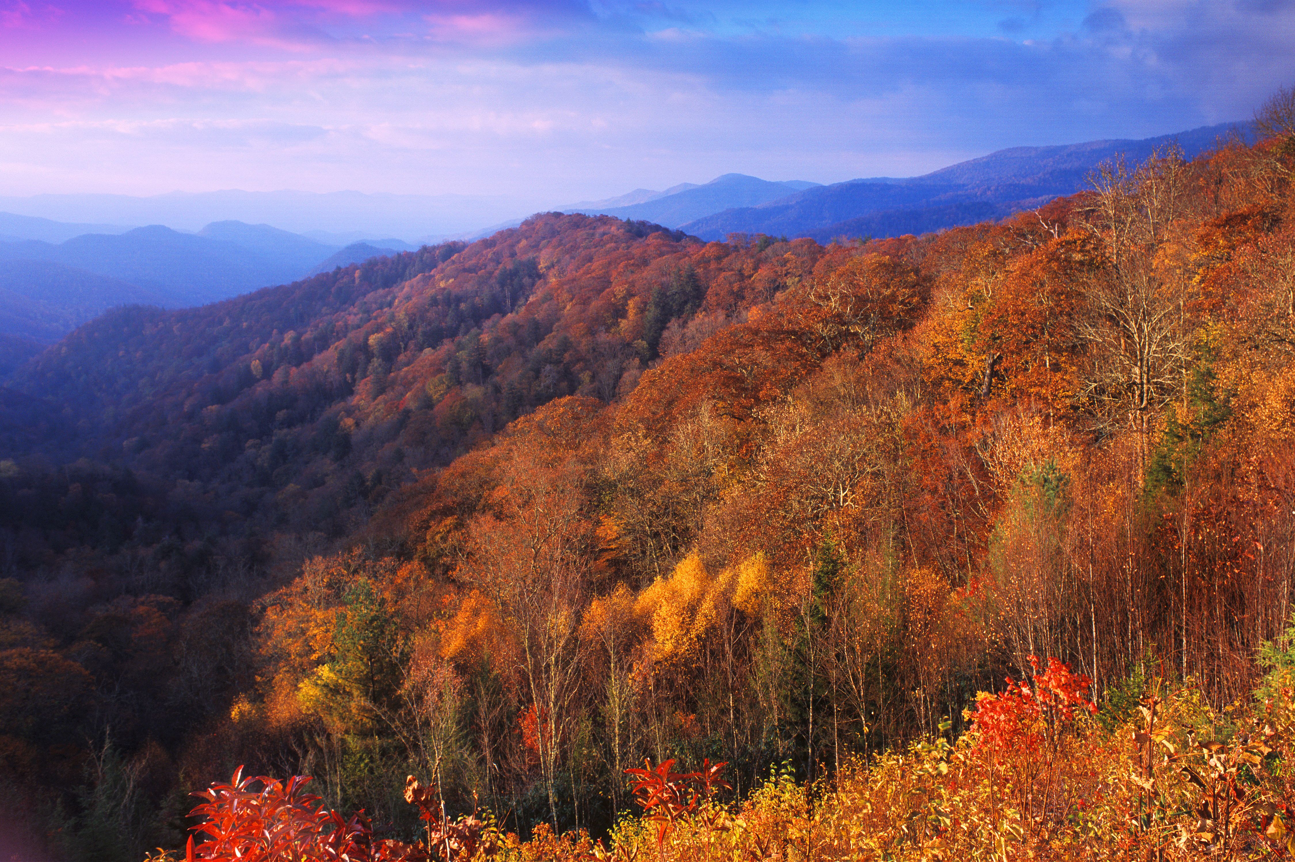 Herbst am Newfound Gap