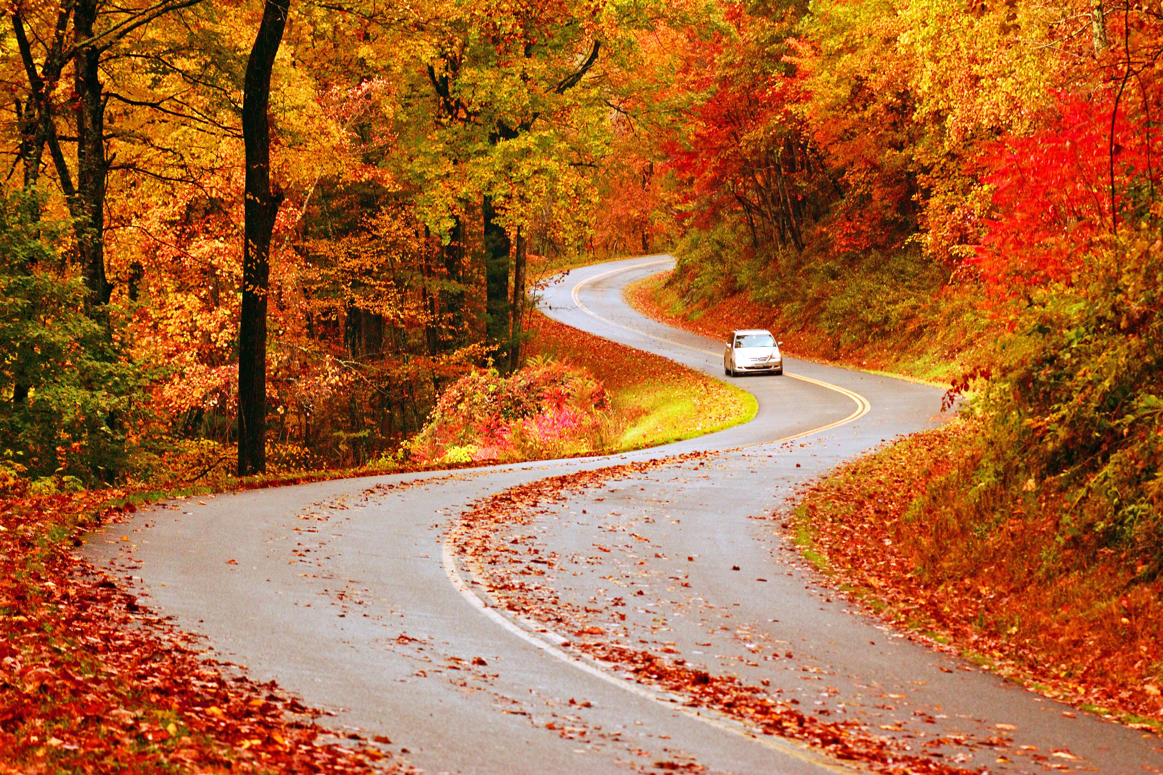 Herbst auf dem Tail of the Dragon