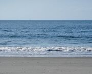 regionen/usa/suedstaaten/south-carolina/allgemein/strand-sullivans-island-sc.cr4608x2018-0x368 regionen/usa/suedstaaten/south-carolina/allgemein/strand-sullivans-island-sc.cr4608x2018-0x368