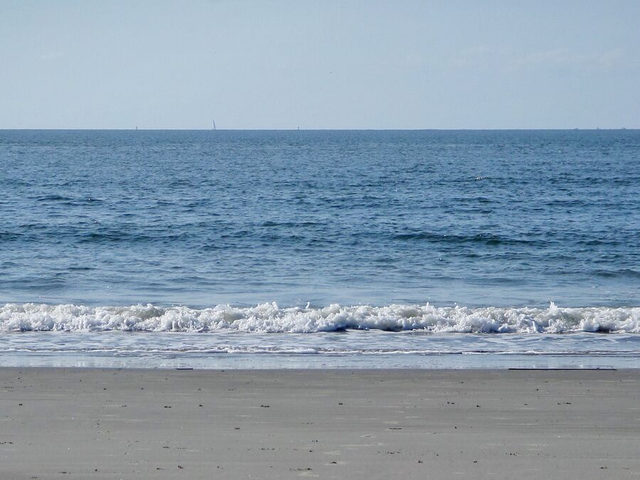 Am Stand auf Sullivans Island in South Carolina