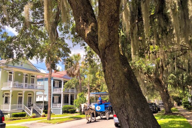 Mit der Pferdekutsche das historische Beaufort in South Carolina erkunden Mit der Pferdekutsche das historische Beaufort in South Carolina erkunden