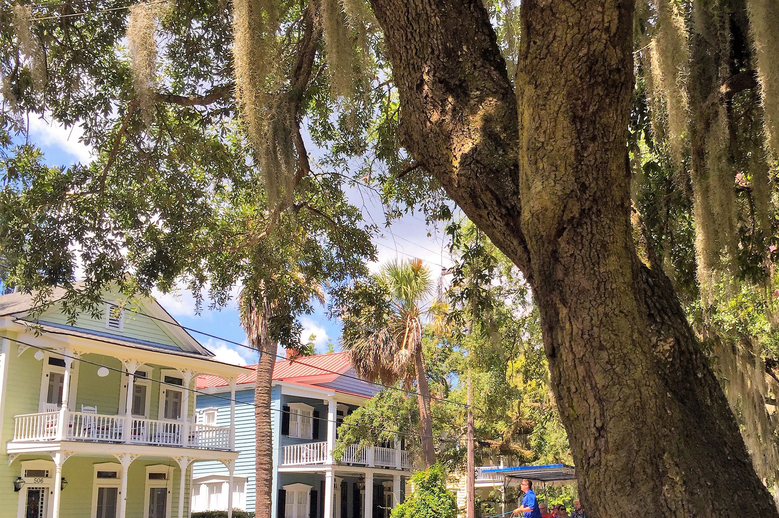 Mit der Pferdekutsche das historische Beaufort in South Carolina erkunden