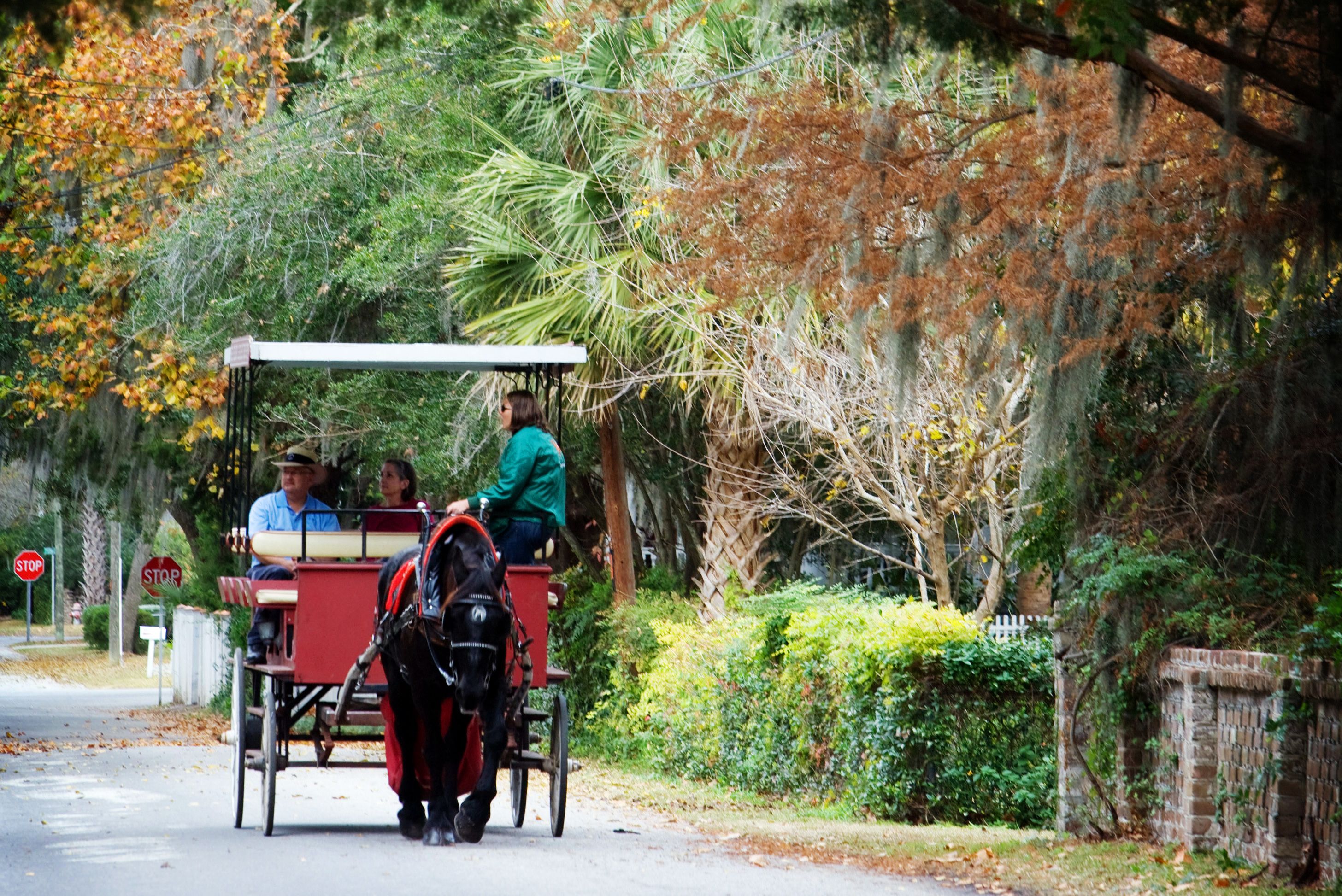 Kutschfahrt in Beaufort, South Carolina