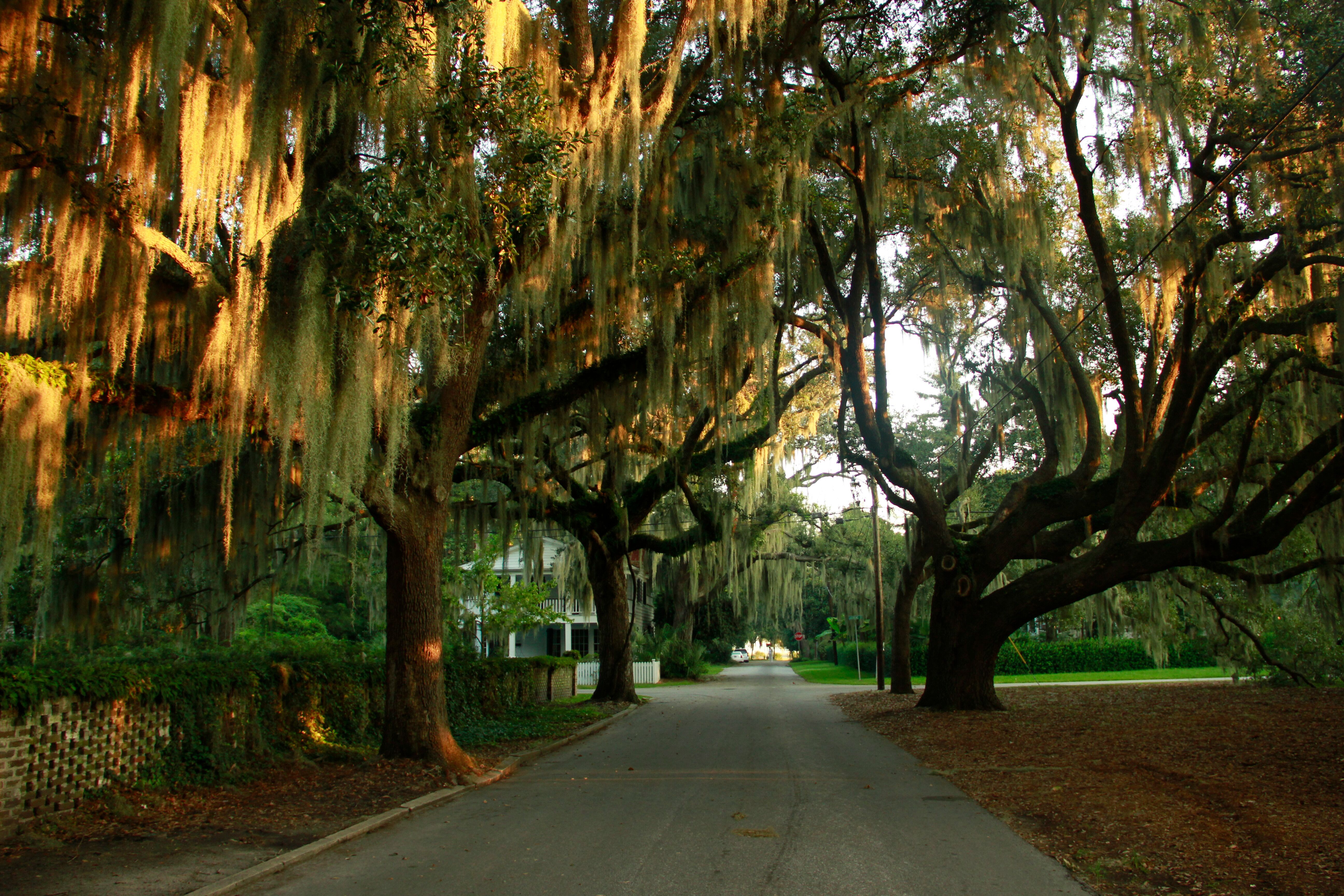 Beaufort in South Carolina