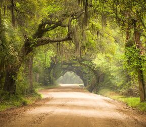 Botany Bay Edisto Island