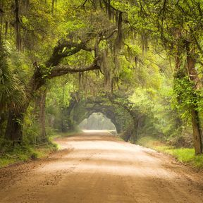 Botany Bay Edisto Island