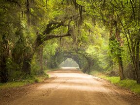 Botany Bay Edisto Island