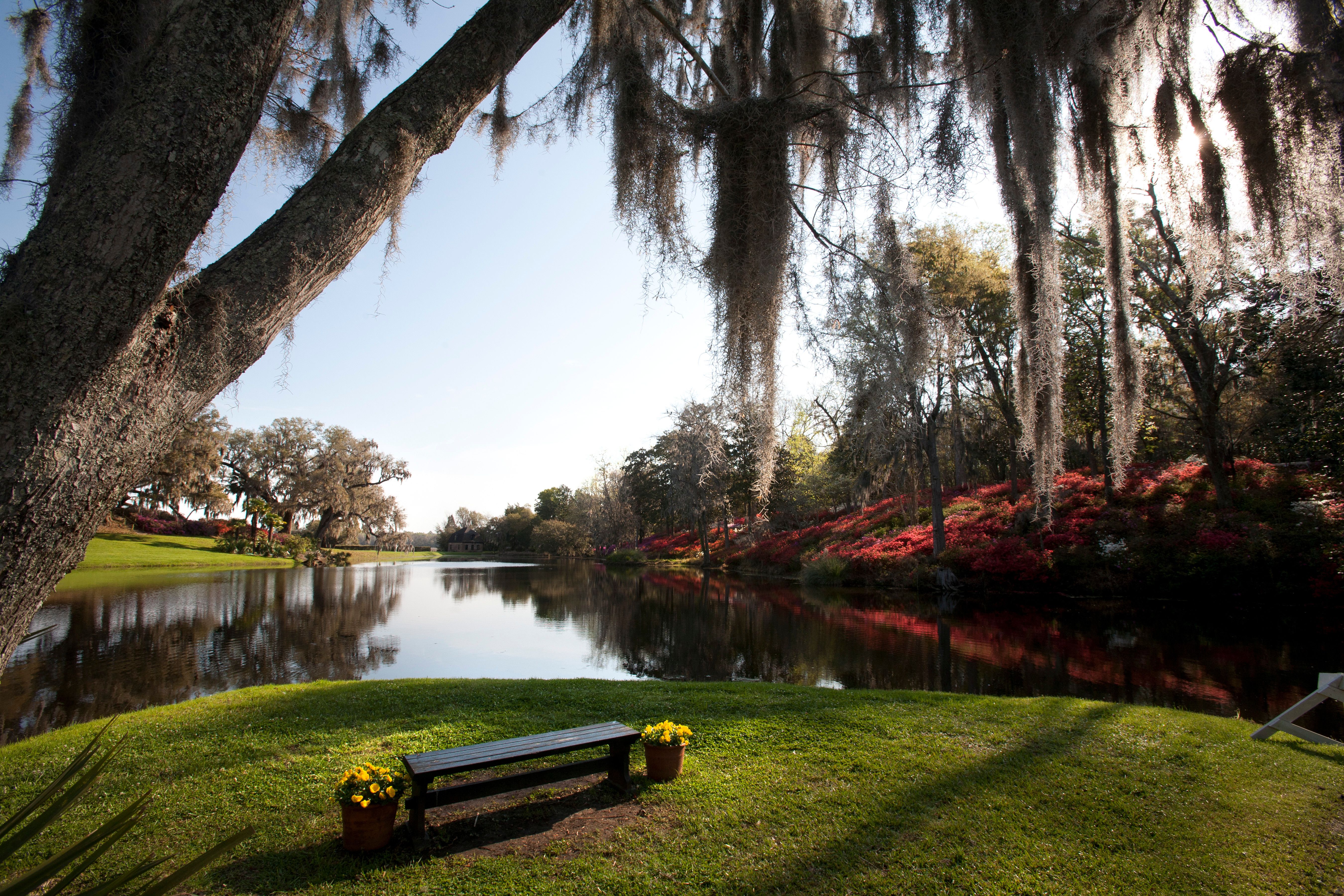 Middleton Place See