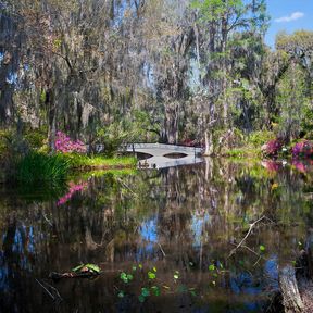 Magnolia Plantage und Garten in Charleston, South Carolina