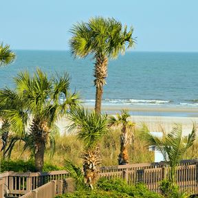 Blick auf den Atlantik, Hilton Head Island, South Carolina