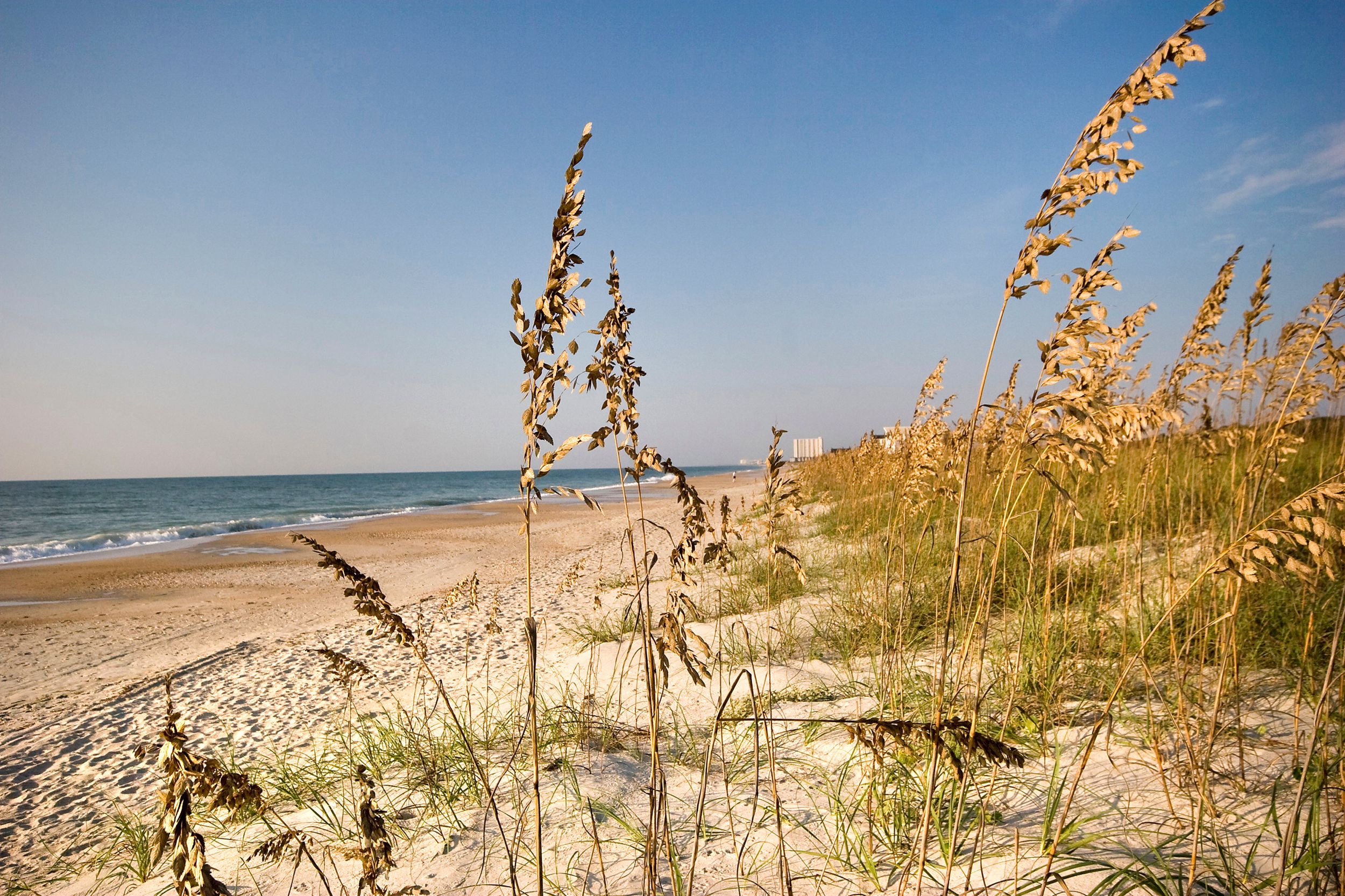 Am Strand von Myrtle Beach in South Carolina