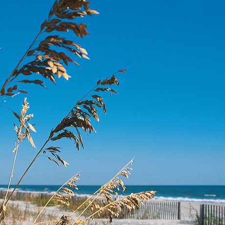 Download Myrtle beach 10 zimmer zu vermieten Free HD