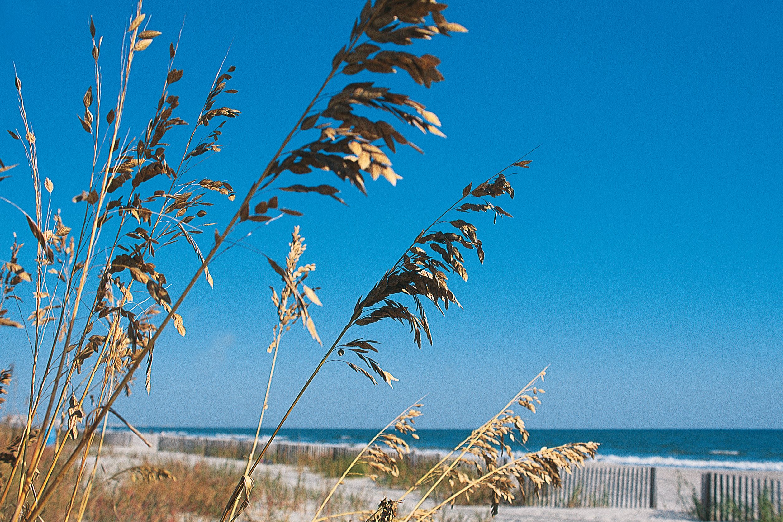 Strand in South Carolina