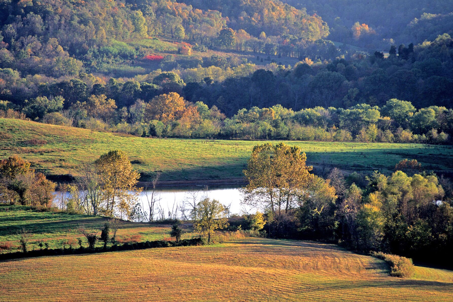 Natchez Trace Area