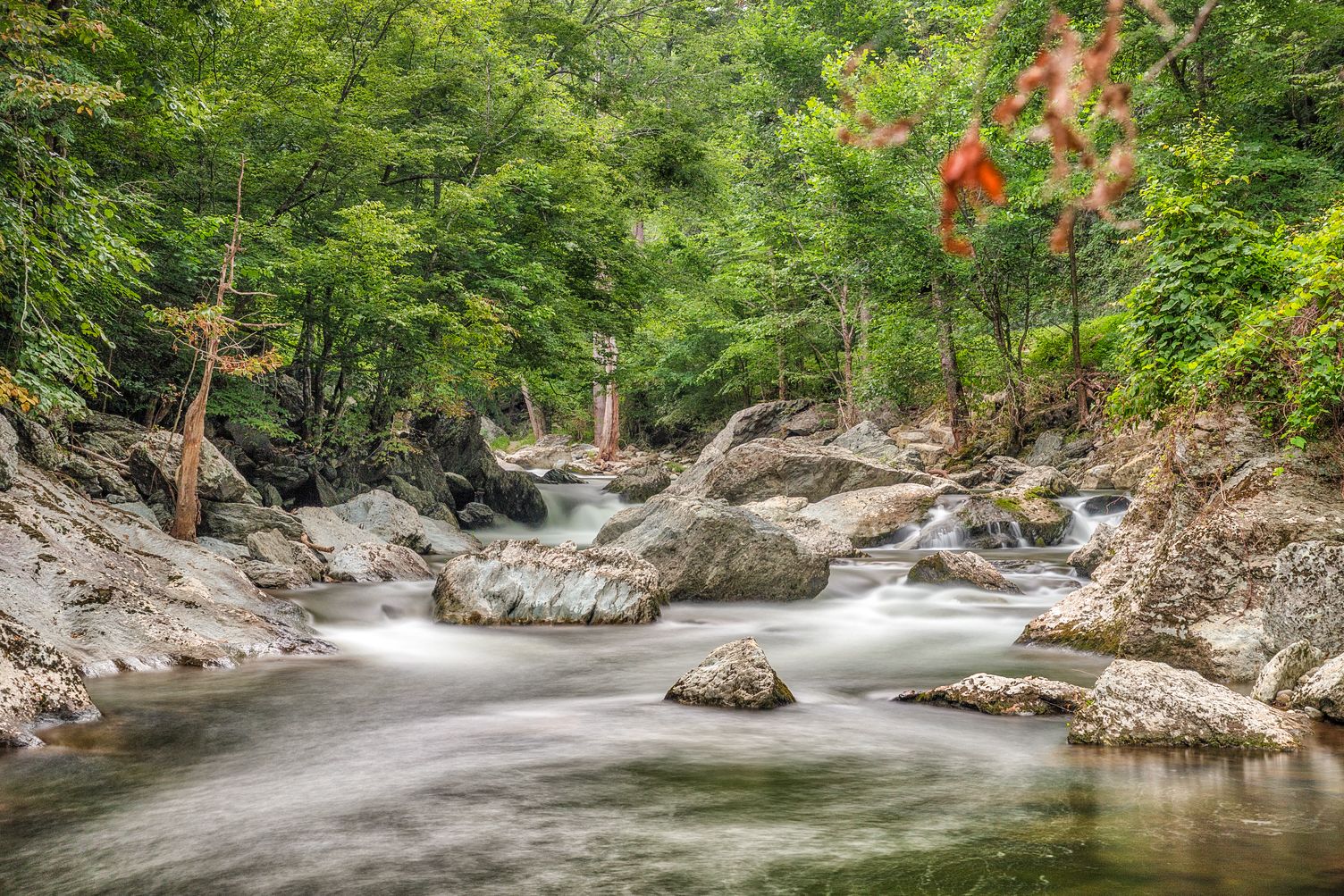 Blick auf einen Fluss im Tal Cades Cove im Great Smoky Mountains National Park in Tennessee