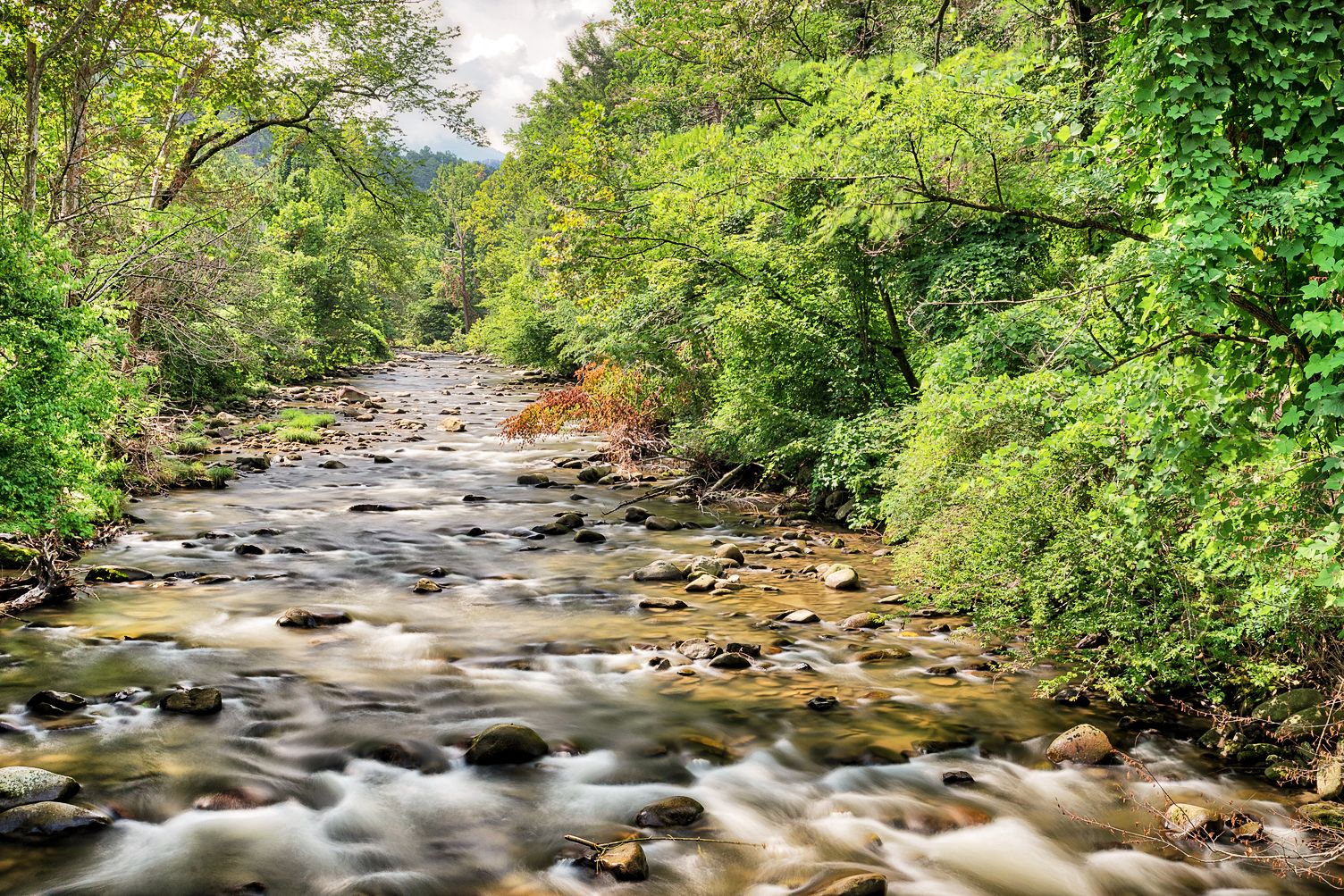 Blick auf den Fluss Cliff Branch in Gatlinburg, Tennessee