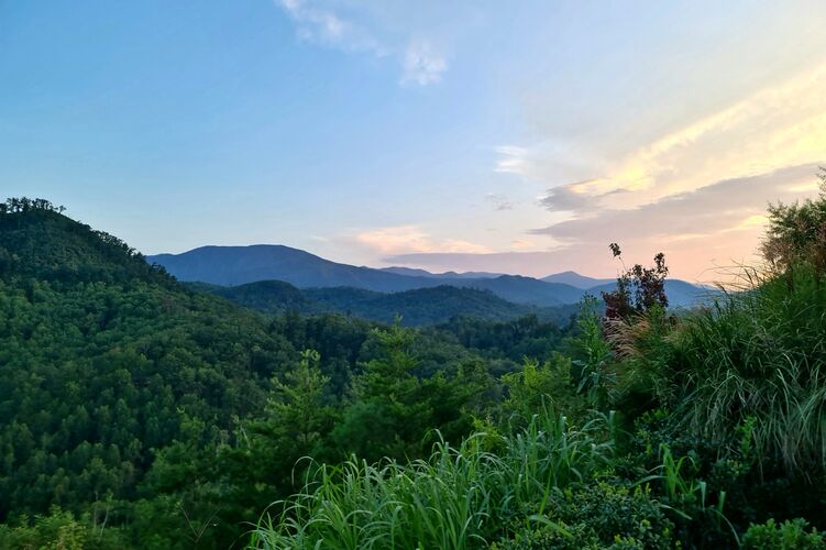Natur in den Great Smoky Mountains Natur in den Great Smoky Mountains