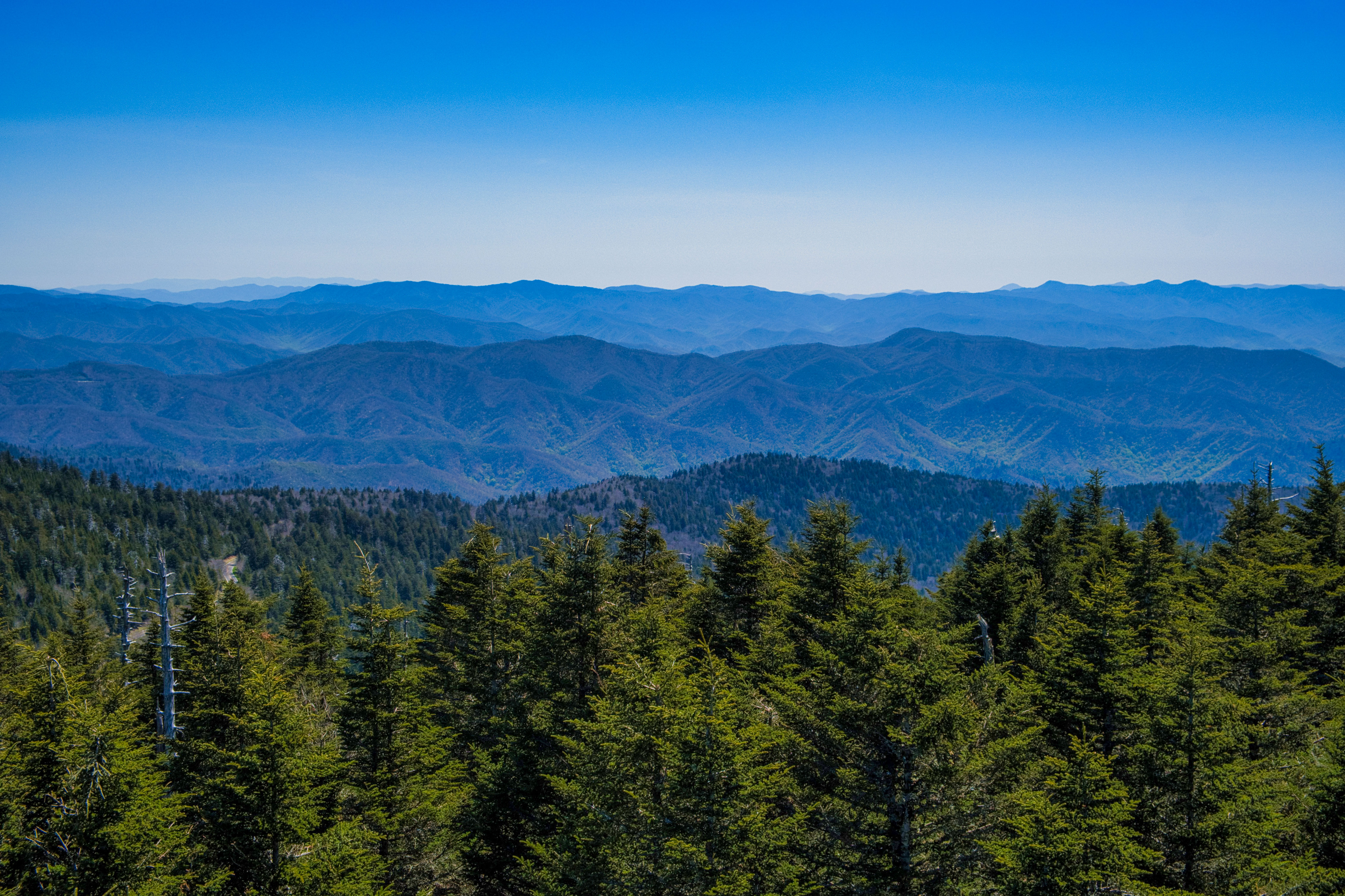 Malerische Landschaft im Great-Smoky-Mountains-Nationalpark