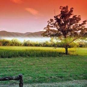 Cades Cove in the Smokies